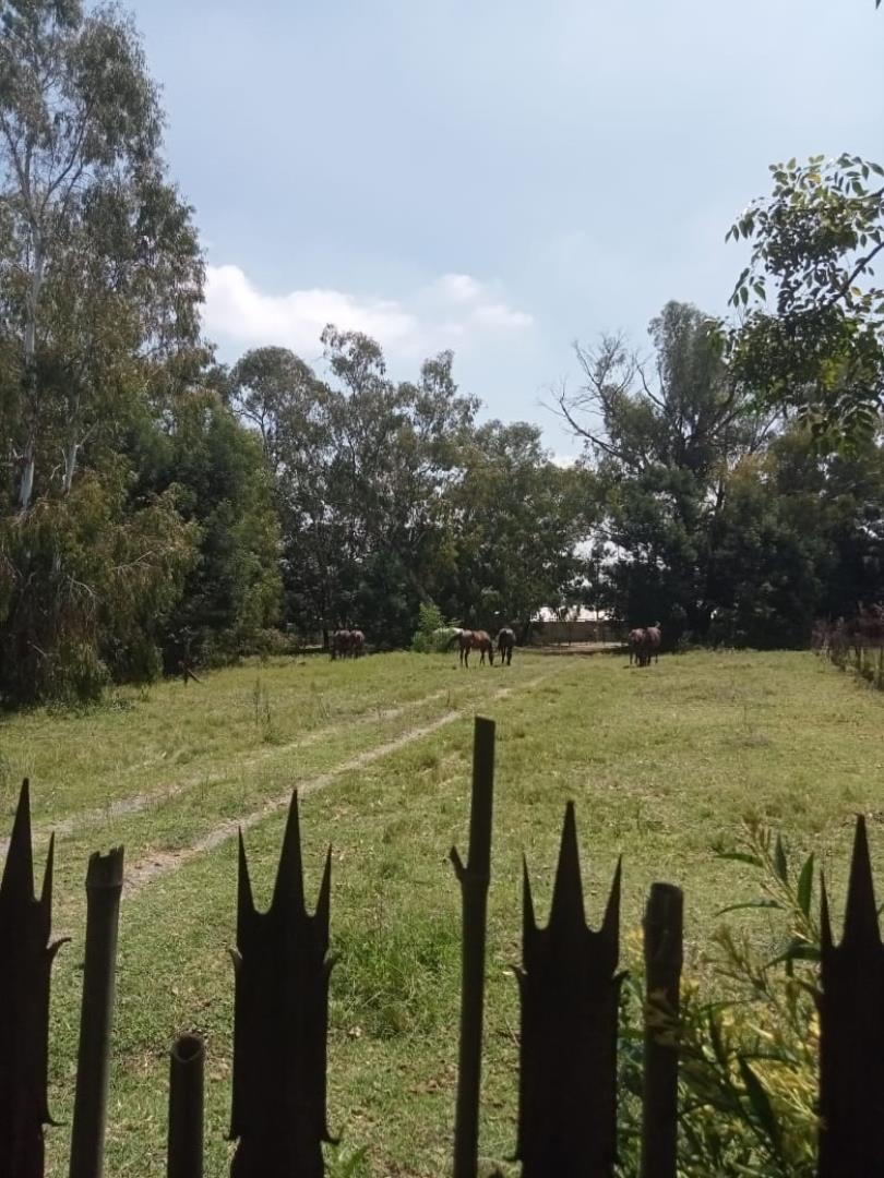 Smallholding for Sale - Gauteng